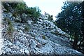 P8124213.JPG
