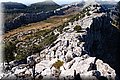 P8124265.JPG