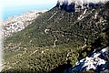 P8124278.JPG