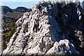 P8124291.JPG