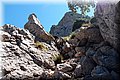 P8124316.JPG