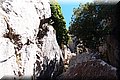 P8124317.JPG