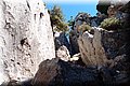 P8124320.JPG