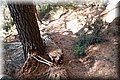 P8194329.JPG
