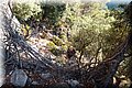 P8194336.JPG