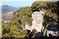 P8194346.JPG