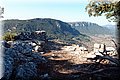 P8194347.JPG