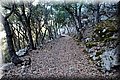 P8194351.JPG