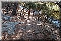 P8194353.JPG
