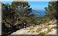 P8194367.JPG