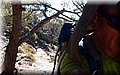 P8194371.JPG