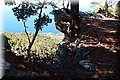 P8194426.JPG