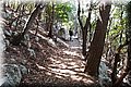 P8194431.JPG
