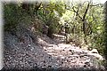 P8194436.JPG