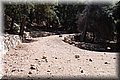 P8194438.JPG