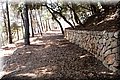 P8194443.JPG