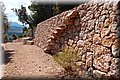 P8194448.JPG