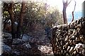 P8224450.JPG