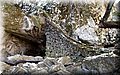 P8224455.JPG