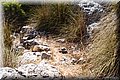 P8224459.JPG