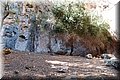 P8224460.JPG