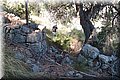 P8224473.JPG