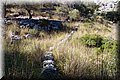 P8224475.JPG