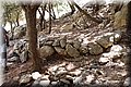 P8224496.JPG
