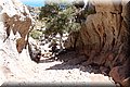 P8224500.JPG