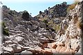 P8224501.JPG