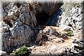 P8224505.JPG