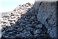 P8224521.JPG