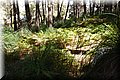 P8224533.JPG
