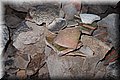 P8224553.JPG