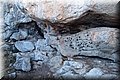 P8224573.JPG