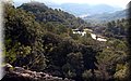 P8294575.JPG