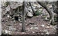P8294580.JPG