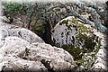 P8294596.JPG