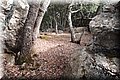 P8294598.JPG