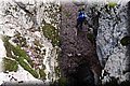 P8294603.JPG