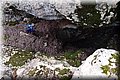 P8294604.JPG