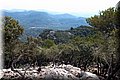 P8294609.JPG