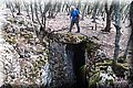 P8294623.JPG