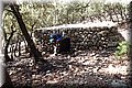P8294631.JPG