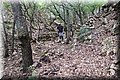 P8294637.JPG