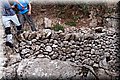 P8294641.JPG