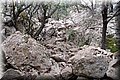 P8294649.JPG
