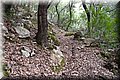 P8294651.JPG