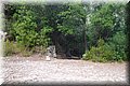 P8294659.JPG