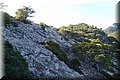 P9024677.JPG